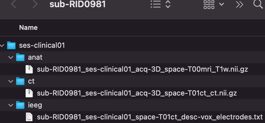 BIDS folder tree for sub-RID0981 (anat/ct/ieeg)