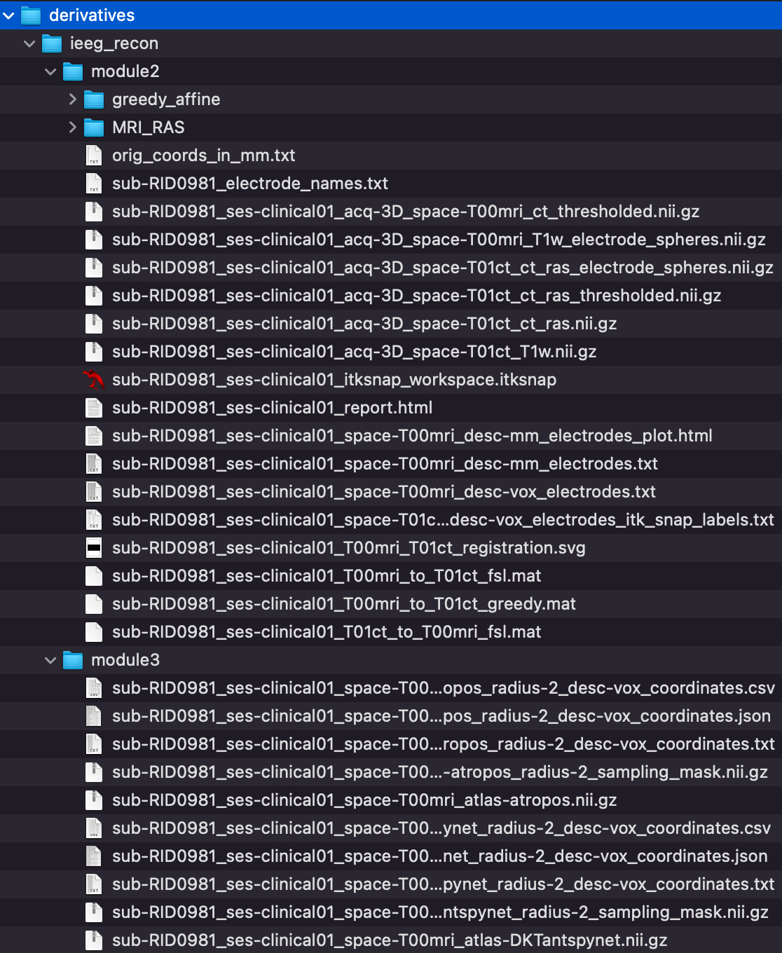 Finder listing of ieeg_recon derivatives for sub-RID0981
